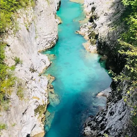 Family - Soca And Nadiza