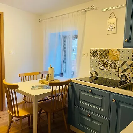 Family - Soca And Nadiza * 코바리드